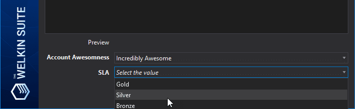 Previewing dependent and controlling picklists settings in the IDE