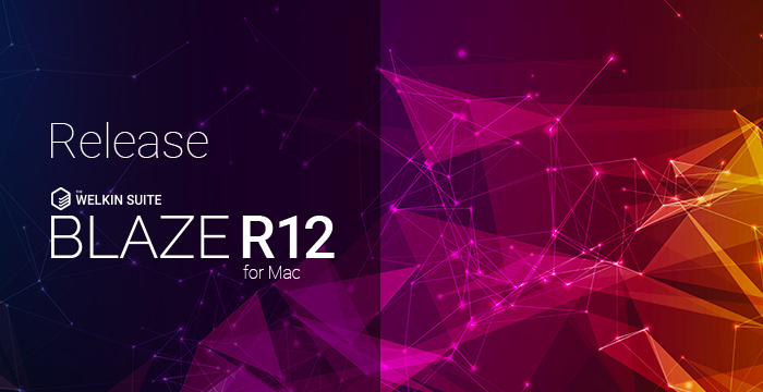 Blaze R12 with Field Usage Report, Custom Metadata Types, OAuth and other improvements