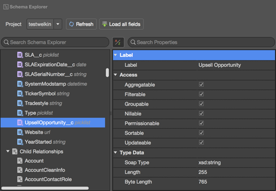 Schema Explorer for object in The Welkin Suite for Mac