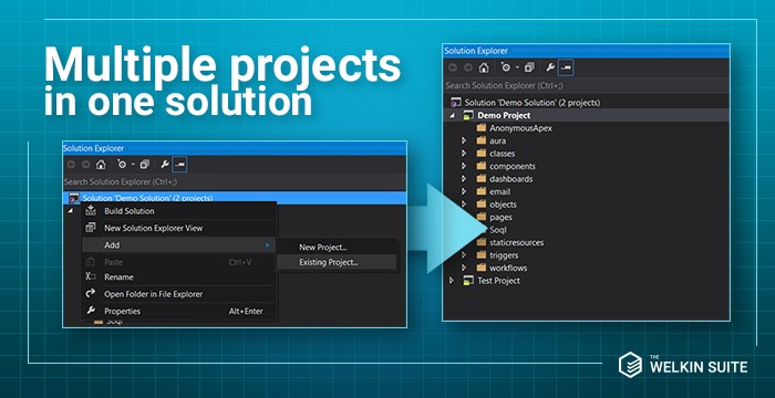 Several project for Salesforce Organizations in one solution in The Welkin Suite