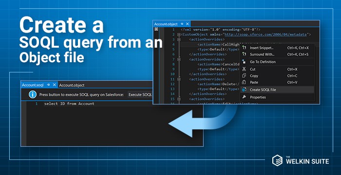SOQL query from an object in The Welkin Suite