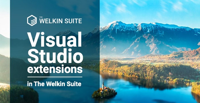 Visual Studio extensions in The Welkin Suite