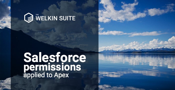 Salesforce permissions applied to Apex