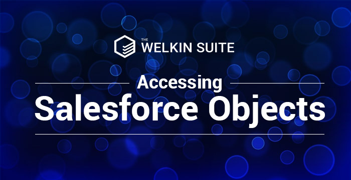 Accessing salesforce objects banner