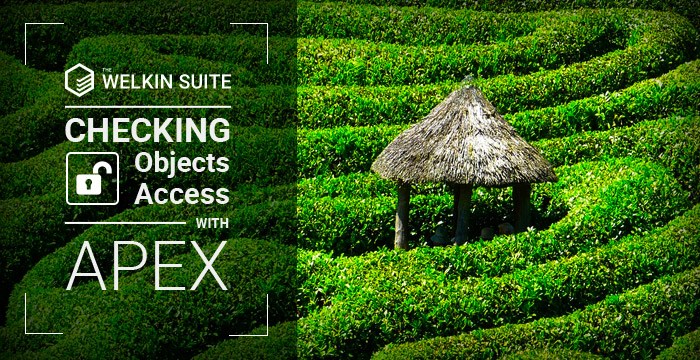 Checking Object Access Apex