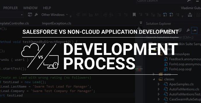 .Net to Salesforce development process