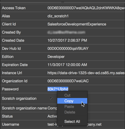 SFDX Organizations Manager - Details pane for a selected Scratch Organizations