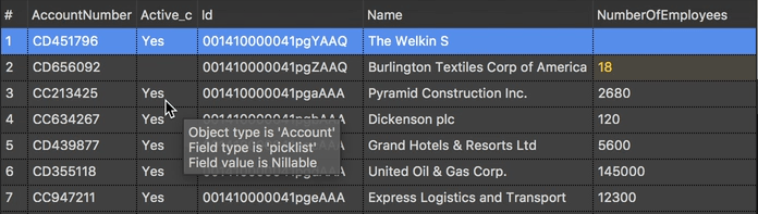 Details about the sObject's field attributes in the SOQL builder & data editor