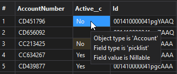 Field details in the SOQL Builder