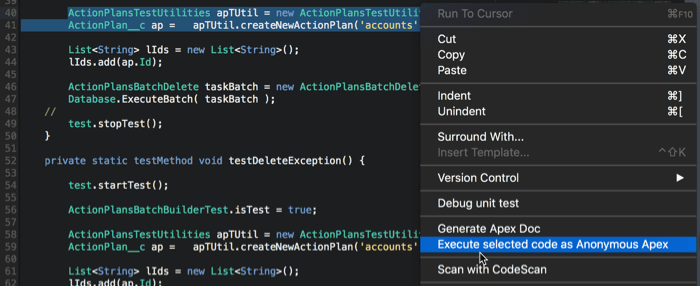 Executing selected Apex code as Anonymous Apex in the Blaze R11