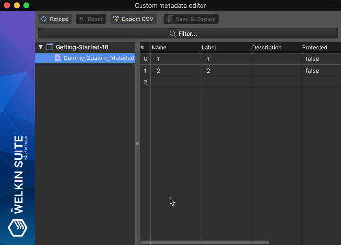 Editing Custom Metadata Types record in The Welkin Suite