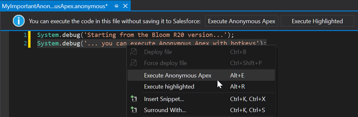Hotkeys for Anonymous Apex execution